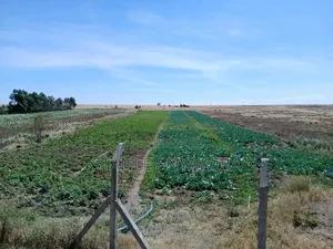 2 Acreas Narumoro via Nanyuki