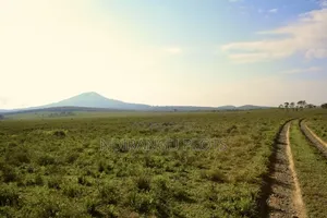 Plot for Sale