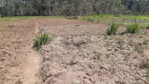 Land for Sale With a One Bedroom House in Kirenga