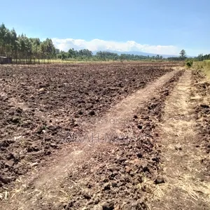 10 Acres Land for Sale