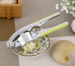 Stainless Steel Garlic Press