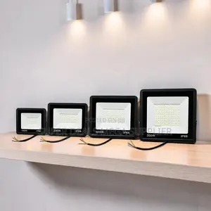 Heat-Resistant Premium 300W,100W,50W,30W AC Electric LED Flood Light