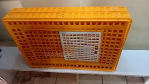  Chicken Transport Crates Available!