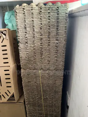 Paper Egg Trays