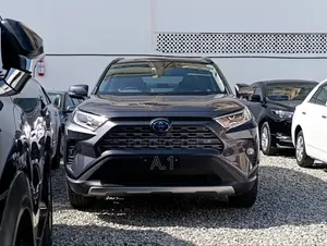 Toyota RAV4 Hybrid 2019 Gray