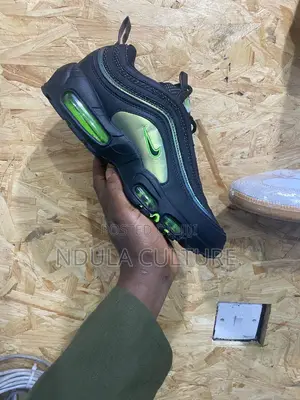 Airmax 96/97 Lightning “Duck of a Feather”
