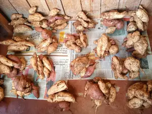 Sweet Potatoes
