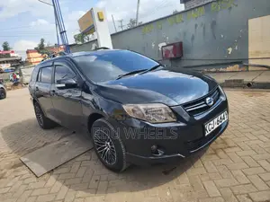 Toyota Corolla Fielder 2010 Black