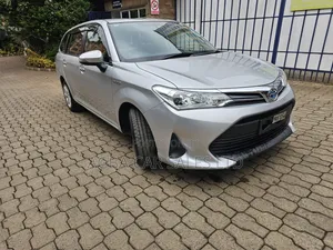 Toyota Corolla Fielder 2019 Silver