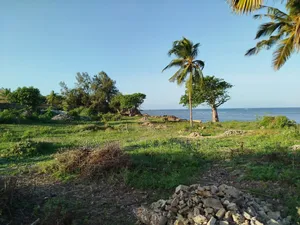 Malindi Casuarina, 7 Acres Beach Plot Available for Sale