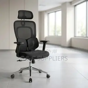 Modern Orthopedic Chair With Lumber Support