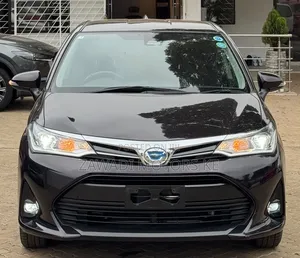 Toyota Corolla Fielder 2019 Black