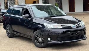 Toyota Corolla Fielder 2019 Black