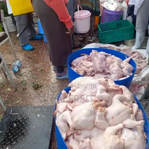Broiler Chicken for Sale