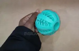 Small Interactive Dog Treat Ball