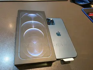 Apple iPhone 12 Pro Max 256 GB
