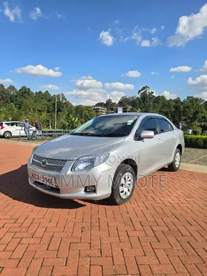 Toyota Axio 2008 Silver