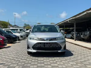 Toyota Axio 2019 Silver