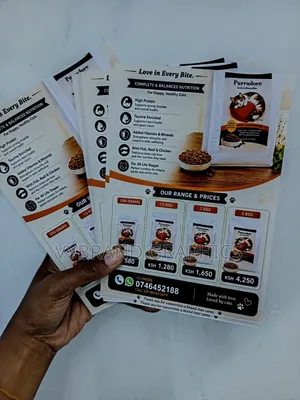 Flyer Brochure Printing– From KSH 10