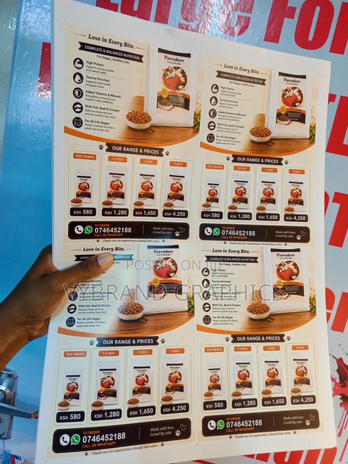 Flyer Brochure Printing– From KSH 10