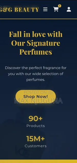 Professional Website Creation