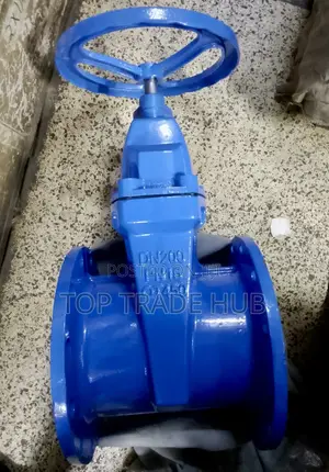 DN200 Sluice/Gate Valve 8 Inch Diameter