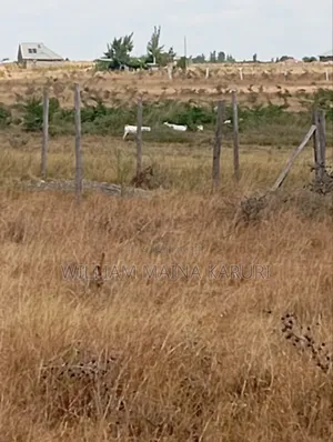 Prime Plot With Ready Title KANTAFU KANGUNDO RD 50*100