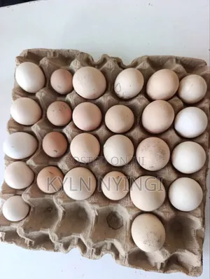 Ornamental Eggs