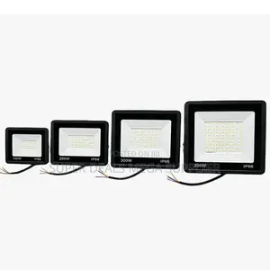 Professional-Quality 200W,100W,50W,30W AC Electric LED Flood Light