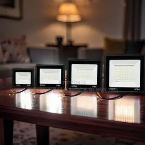 Robust Dependable 200W,100W,50W,30W AC Electric LED Flood Light