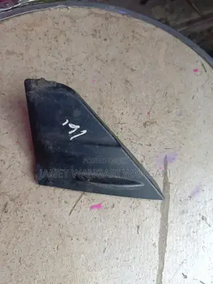 Sidemirror Finisher Cover/Triangle Fielder/Axio 161