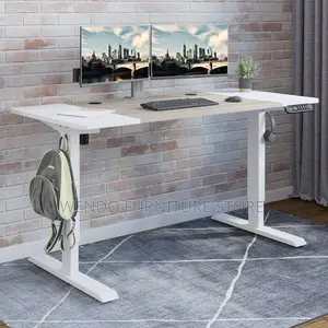 Office Desk; 1.6m Home Office Ergonomic Adjustable Desk With Motor