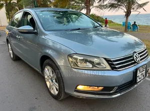 Volkswagen Passat 2013 Blue