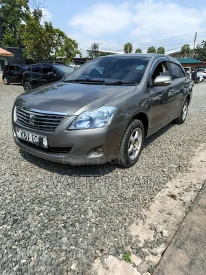 Toyota Premio 2007 Gray