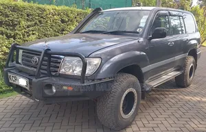 Toyota Land Cruiser 2002 Gray