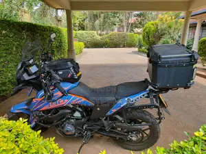 KTM 2024 Orange