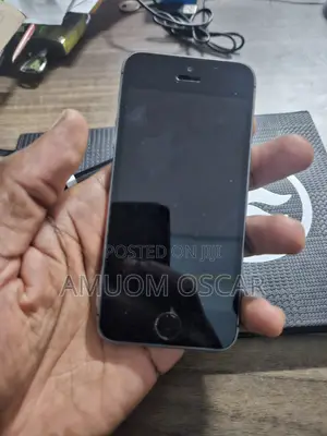 Apple iPhone 5s 16 GB Gray