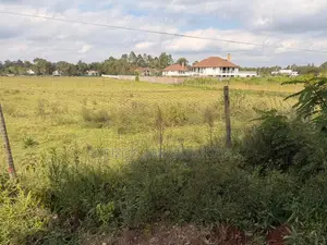 Marula Lane