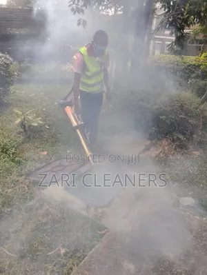 Fogging Fumigation Treatment