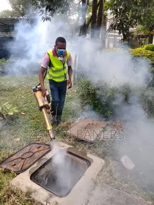 Eeffective Pest Control Treatment