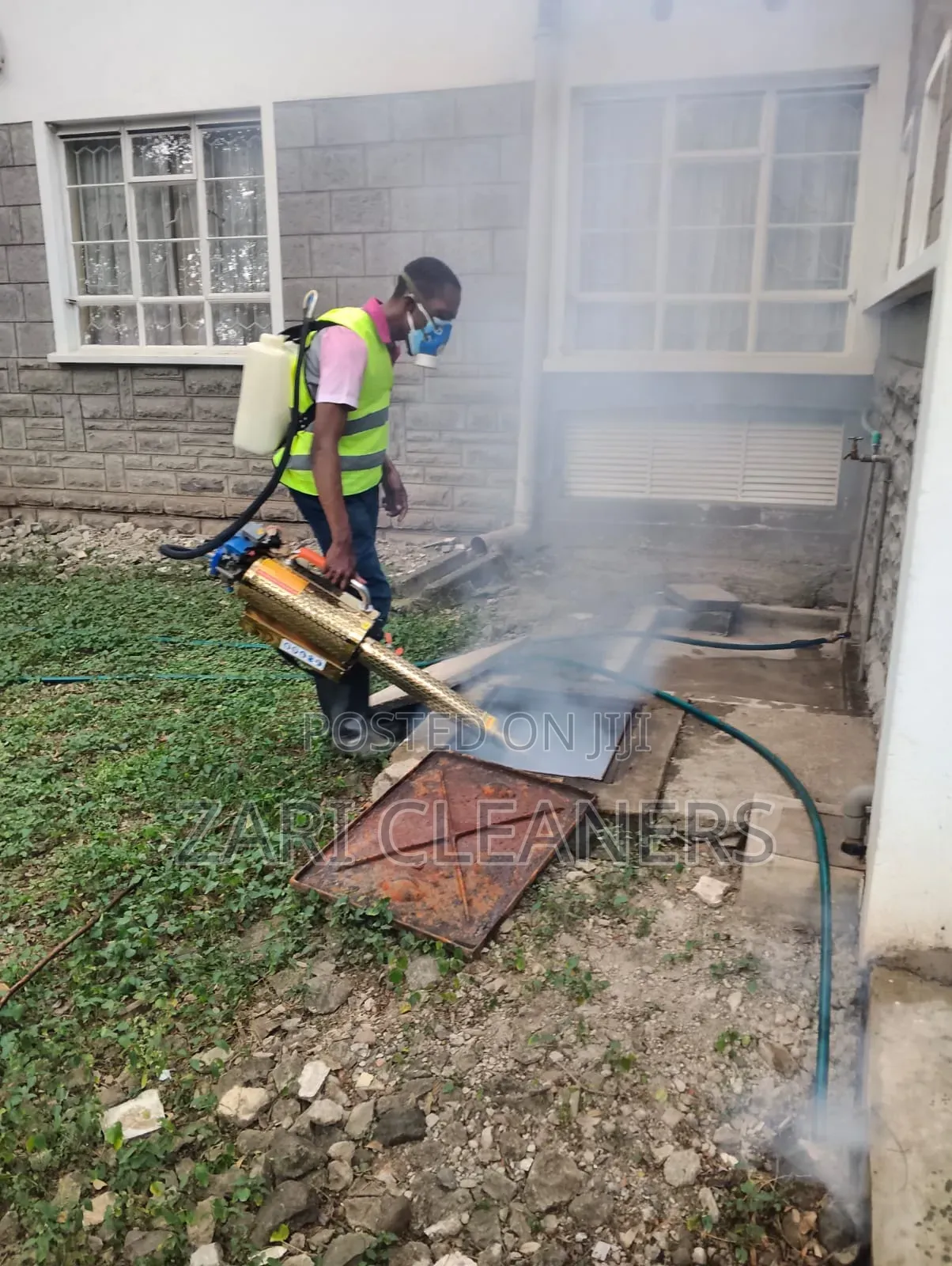 Long-Lasting Pest Control Treatments