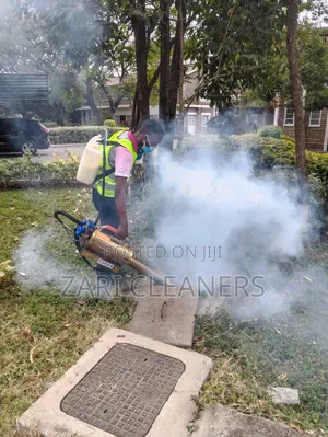 Professional Cockroach Removal Services