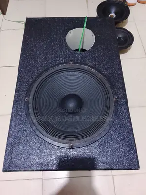 10" Inch Mid Base Speaker With Cabinet