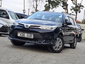 Toyota Corolla Fielder 2018 Black