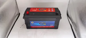 Class a Maintenance Free N100 Car Battery