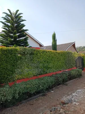 3bdrm Bungalow in Kenyatta Road for rent