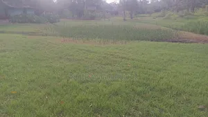 Prime Land in Muthaiga North