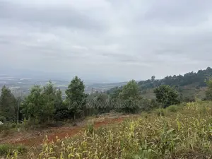 Two Acres Mua Hills Radar
