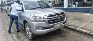 Toyota Land Cruiser 2010 Silver