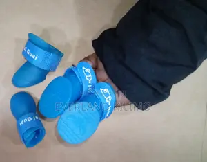 Small Dog Shoes